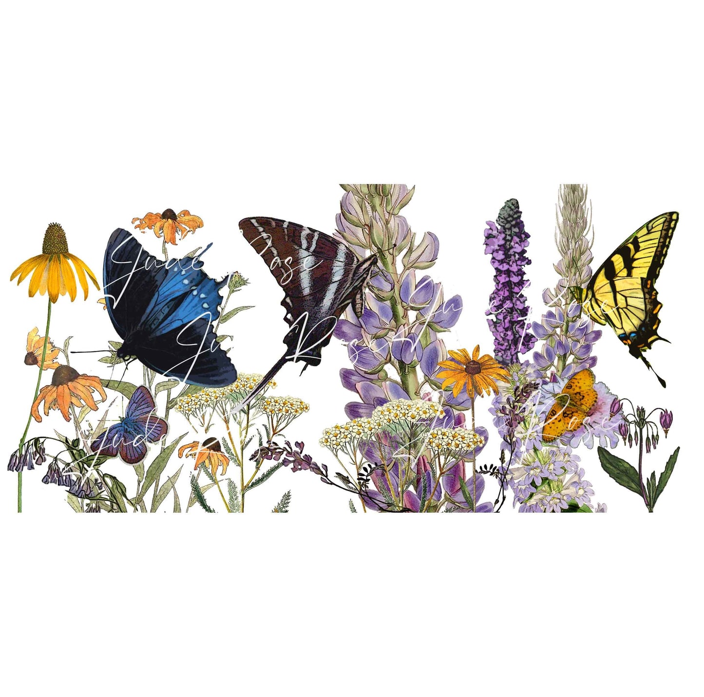 Swallowtails on Native Plants Mug 11oz, ecology conservation gift for gardeners and nature lovers